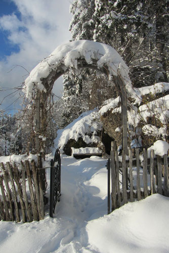 Garten Gestaltungsideen - Januar