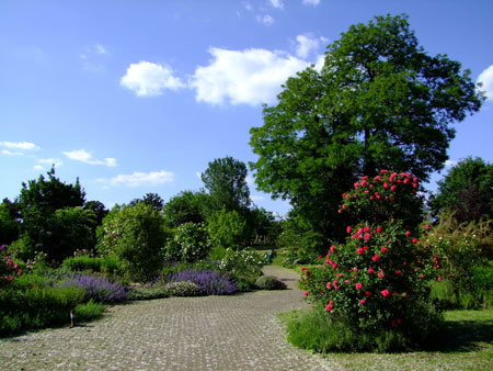 botanical-garden-190999_450