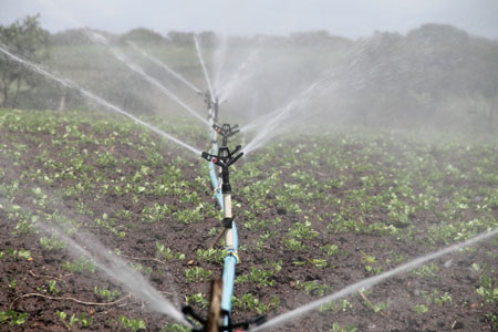 irrigation-588941_450