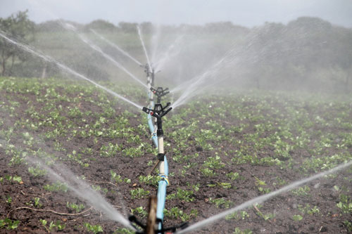 irrigation-588941_500