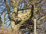 treehouse-150
