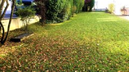 Gartenbewässerung für Beet
