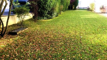 Gartenbewässerung für Beet